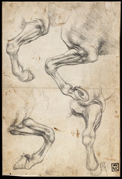 At Bacak Çalışmaları by Leonardo da Vinci