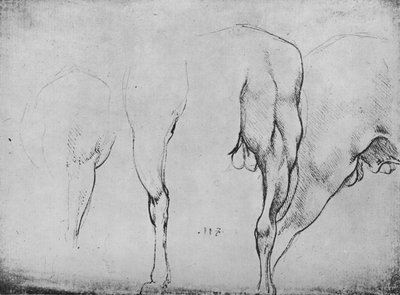 At Bacakları Çalışmaları, c1480 1945 by Leonardo da Vinci