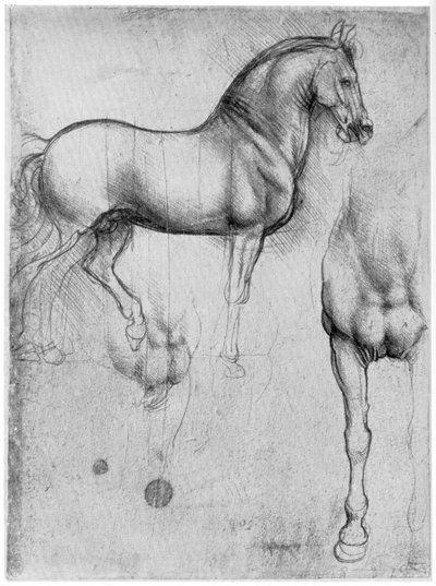 At Çalışmaları, c1490 1954 by Leonardo da Vinci