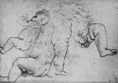 Bir Çocuğun Çalışmaları, c1490 1945 by Leonardo da Vinci