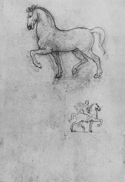 Bir At ve Bir At ve Binicinin Çalışmaları, c1480 1945 by Leonardo da Vinci