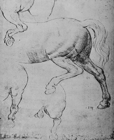 Bir Atın Arka Bacakları ve Arka Bacakları Üzerine Çalışmalar, c1480 1945 by Leonardo da Vinci