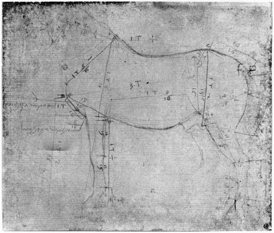 At Çalışması (kağıt üzerinde metal nokta) by Leonardo da Vinci