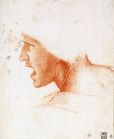 Anghiari Muharebesi İçin Bir Savaşçının Başı Çalışması - Leonardo da Vinci (1452-1519) - 1504-1505 - Kağıt üzerinde iyimserlik - 22,6x18,6 - Szepmuveszeti Muzeum, Budapeşte by Leonardo da Vinci