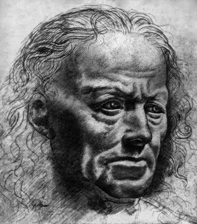 İfade çalışması by Leonardo da Vinci