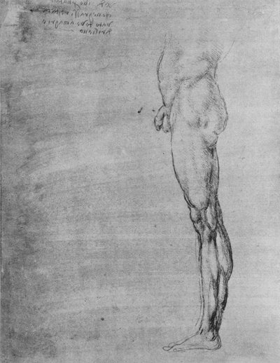 Bir Adamın Vücudu ve Bacağı Çalışması, c1480 1945 by Leonardo da Vinci