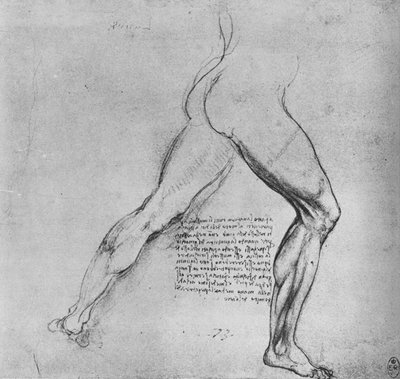 Sağa Akan Bir Adamın Bacaklarının İncelenmesi, c1480 1945 by Leonardo da Vinci