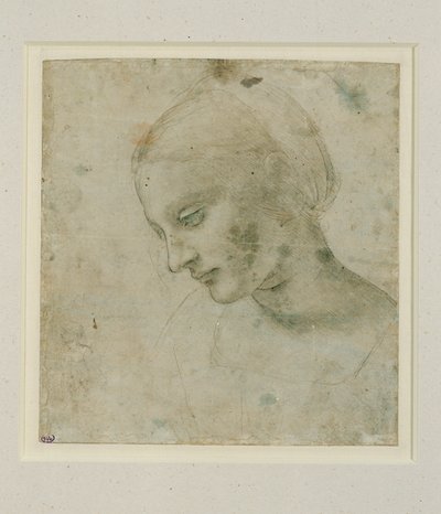  by Leonardo da Vinci