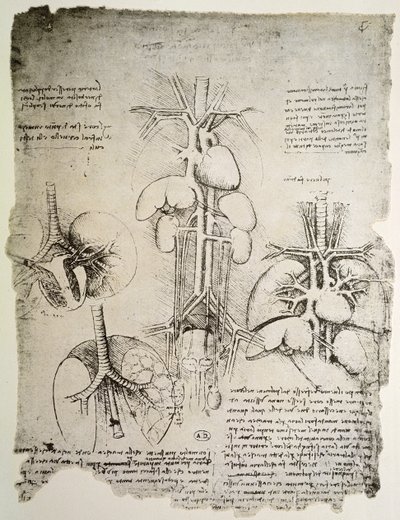 Kalp ve Dolaşım, Windsor kitabının tıpkıbasımı (kağıt üzerine kalem ve mürekkep) by Leonardo da Vinci