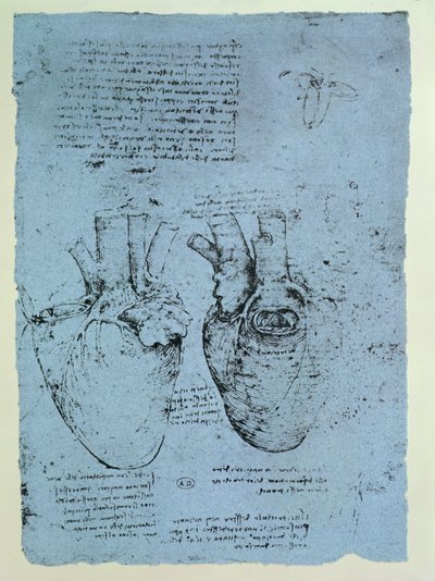 Kalp, Windsor kitabının tıpkıbasımı (kağıt üzerine kalem ve mürekkep) by Leonardo da Vinci