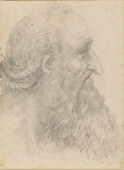 Yaşlı sakallı bir adamın başı, yaklaşık 1517. by Leonardo da Vinci