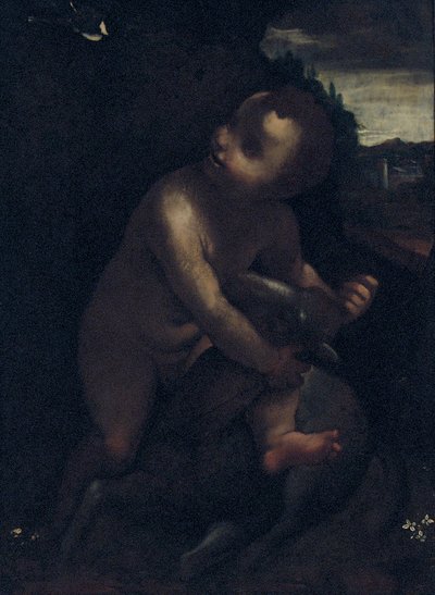 Bebek Vaftizci Yahya by Leonardo da Vinci