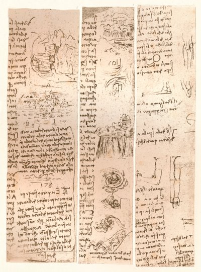 Üç çizim, c1472-c1519 1883 by Leonardo da Vinci