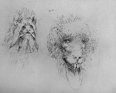 Canavarların İki Başı, c1480 1945 by Leonardo da Vinci