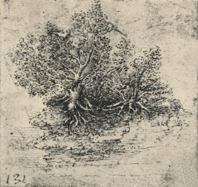 Bir Çayın Kıyısında İki Ağaç, c1480 1945 by Leonardo da Vinci