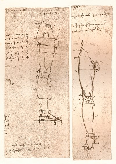 İnsan figürünün oranları teorisini gösteren iki çizim, c1472-c1519 1883 by Leonardo da Vinci