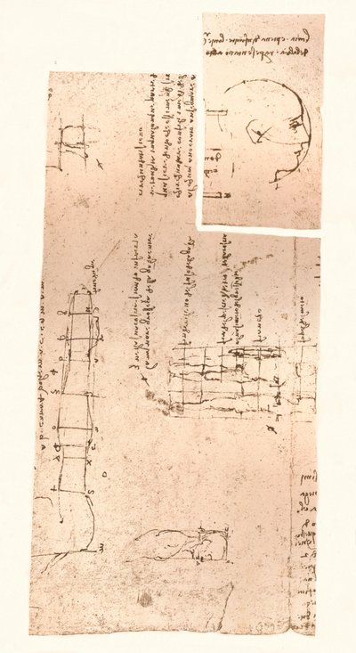İnsan figürünün oranları teorisini gösteren iki çizim, c1472-c1519 1883 by Leonardo da Vinci