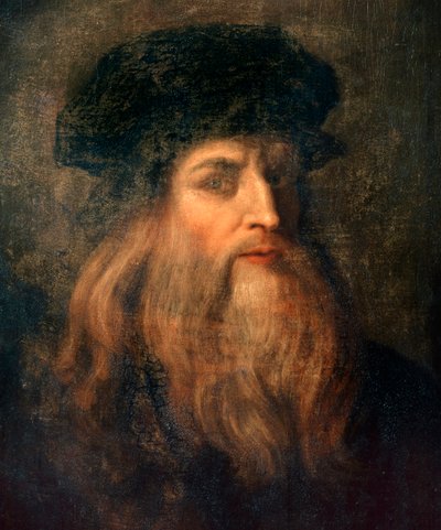 Bilinmeyen resim by Leonardo da Vinci
