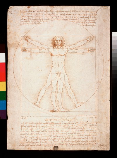  by Leonardo da Vinci