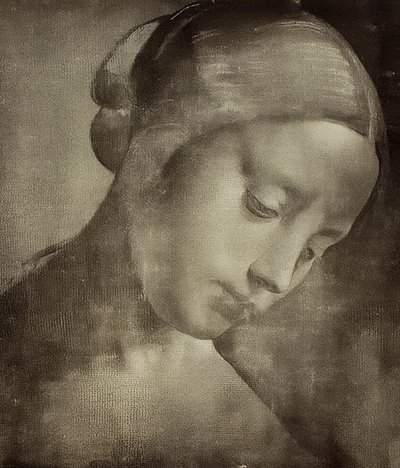 Kadın kafa. 1470-1519 by Leonardo da Vinci