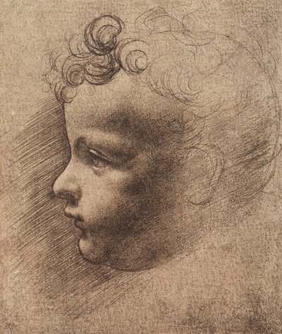 Küçük bir çocuğun başı; Leonardo da Vinci