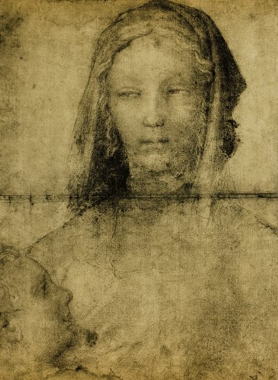Bakire için Çalışma; Leonardo Okulu