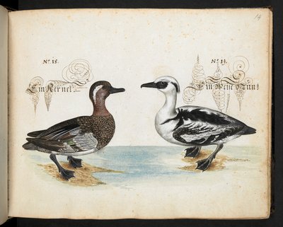 MS 6485'i ekleyin by Leonhard Baldner