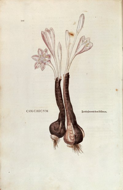De historia stirpium commentarii insignes