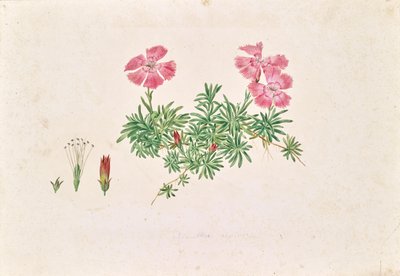  by Leopold von Stoll