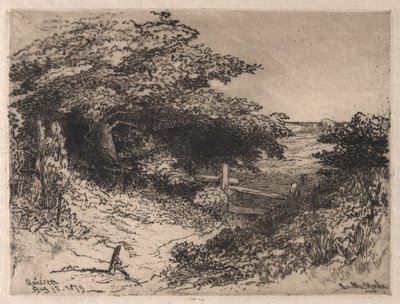 Quissett, Barnstable İlçesi, Massachusetts, 1879. by Leroy Milton Yale