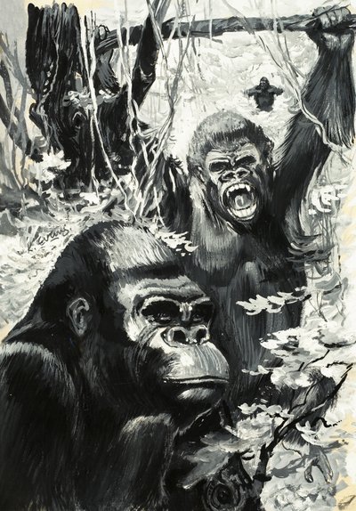  by Leslie Field Evans