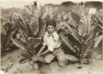  by Lewis W. Hine