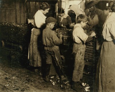 10 year old Jimmie who has been shucking 3 years (6 pots a day) with an 11 year old boy who shucks 7 pots at Varn und Platt Canning Co., Bluffton, South Carolina, 1913  by Lewis Wickes Hine