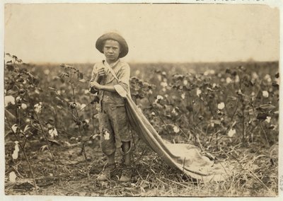 6-year old Warren Frakes with about 20 pounds of cotton in his bag at Comanche County, Oklahoma, 1916  by Lewis Wickes Hine