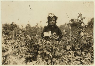 Annie Bissie, Baltimore, Maryland yakınlarındaki tarlalarda böğürtlen toplarken, 1909 by Lewis Wickes Hine