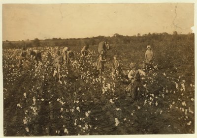 McKinney, Teksas yakınlarında pamuk toplayan aile, 1913 by Lewis Wickes Hine