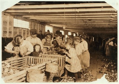 8 yaşındaki Rosy, Louisiana, Dunbar Cannery