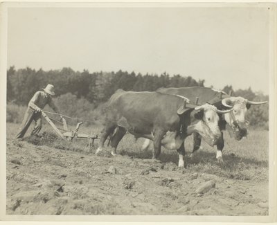  by Lewis Wickes Hine