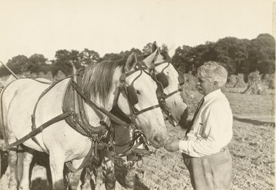 İsimsiz, ca. 1935. by Lewis Wickes Hine