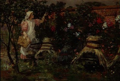 Kız ve Arı Kovanları by Lexden L. Pocock