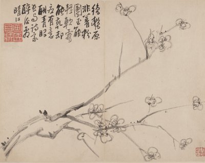 Blossoming Plum albümü, 1742. by Li Fangying