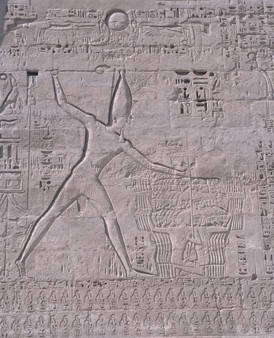 Bir tapınağın duvarındaki oymalar, Medinet Habu, Luksor, Mısır by Unbekannt Unbekannt