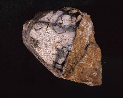 1875