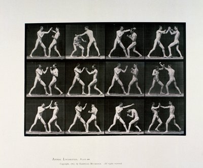 Çıplak erkek sporcular boks, c 1872-1885 by Unbekannt Unbekannt