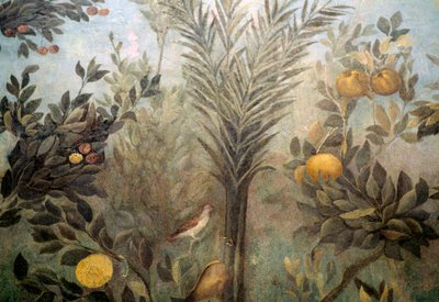 Nar ağacı, meyve ağaçları ve kuşlarla dolu bir bahçeyi betimleyen bir freskten detay, Palatine tepesindeki Livia Evi, Roma, İtalya. Roma uygarlığı by Unbekannt Unbekannt