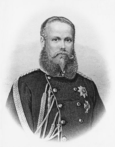 I. Charles'ın portresi (1823-1891), Wuerttemberg Kralı 1864, gravür by Unbekannt Unbekannt