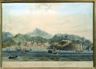 Grenada adasındaki St. George ve Richmond Heights kasabasının bir görünümü, William Daniell tarafından oyulmuş 1769-1837, c.1810 gravür by Lieutenant Colonel J. Wilson