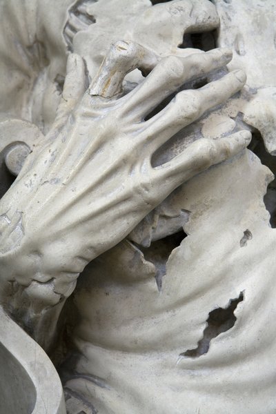 Yüzülmüş veya İskelet, detay by Ligier Richier