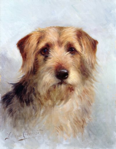 Aileden biri by Lilian Cheviot