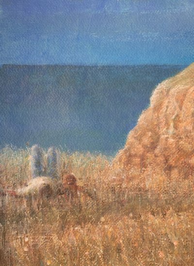 Sahil Yolu by Lincoln Seligman